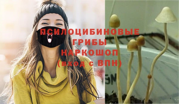 а пвп мука Вяземский