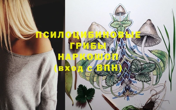 первитин Вязники