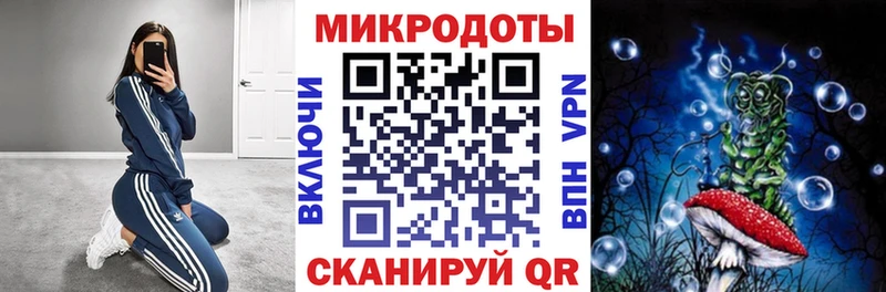 Псилоцибиновые грибы Psilocybine cubensis  Заозёрск 
